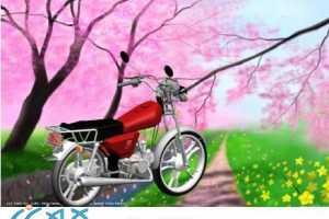 NXĦгƽ̳ܽ - ṹƣװ䣬Ⱦά