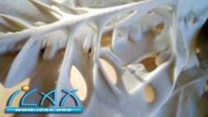 3D PrinterӦڽλİ_ʵ