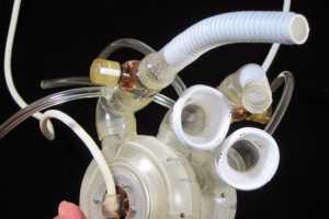 ѧҽѧоԱ PTC Creo® Ӧ ٽȫ˹࿪