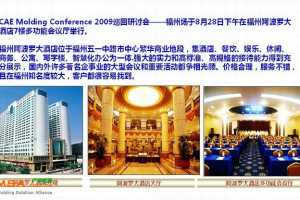 CAE Molding Conference 2009 Ѳֻ-᳡