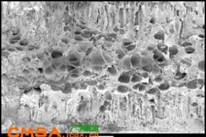 B07 ٽ΢ϸƳ̶Ծ۱ϩ/SWNϲϻе֮