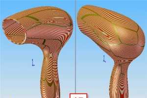 [SW̳] 紵̳̣ͼƬģ