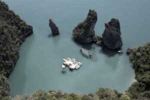 ˮϹӰOle ScheerenƵĸӰԺ