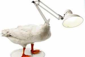 �и��Ե�Ѽ��̨��