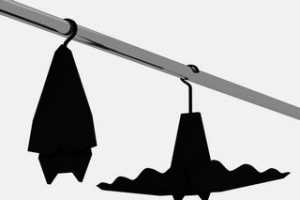 �������¼�