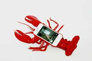 ������Ϻ�ֻ���