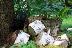 ���õ�������