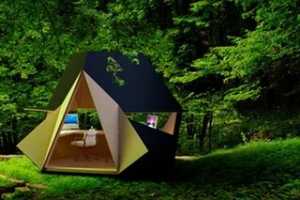 David Ajasa-Adekunle������Ŷ����