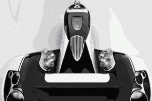 δ͸ŵĽϸEgochine B