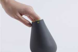 ��� RAFL �������������һ�ִ�̽�����ʵ����ƿ��Ƽ���