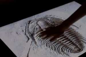 ��˹�ᷢ����3D���еĴ�����