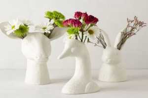 ���صĶ���ͷ�ͻ�ƿ