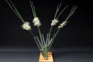 �򵥡����⡢����˼�飬Brandon Perhac