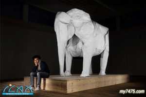 ֽʦSipho Mabona һֽ۳3׸ߴ