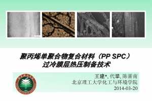 D2S5-13 ۱ϩۺ︴ϲϣPP SPCĤѹƱ - ѧ ...