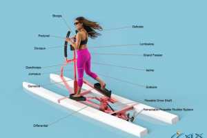 ˮϽAqua Ellipticaˮƽ