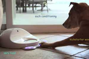 CleverPetιʳץһģζʳת