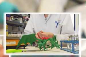 PLAYMOBILʿǱ ʹPTC Creo ĸģעģߵNCӹ